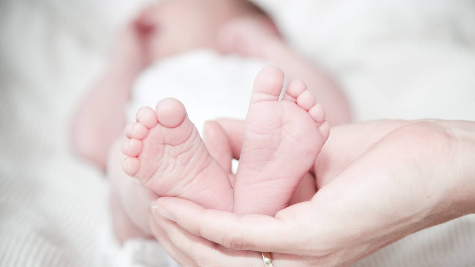 排卵日予測と産み分け