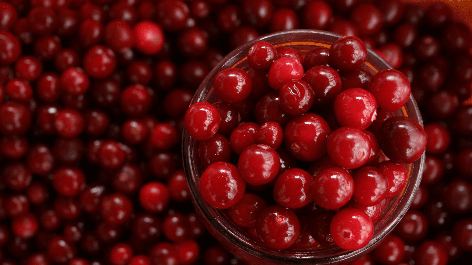 クランベリーサプリとは