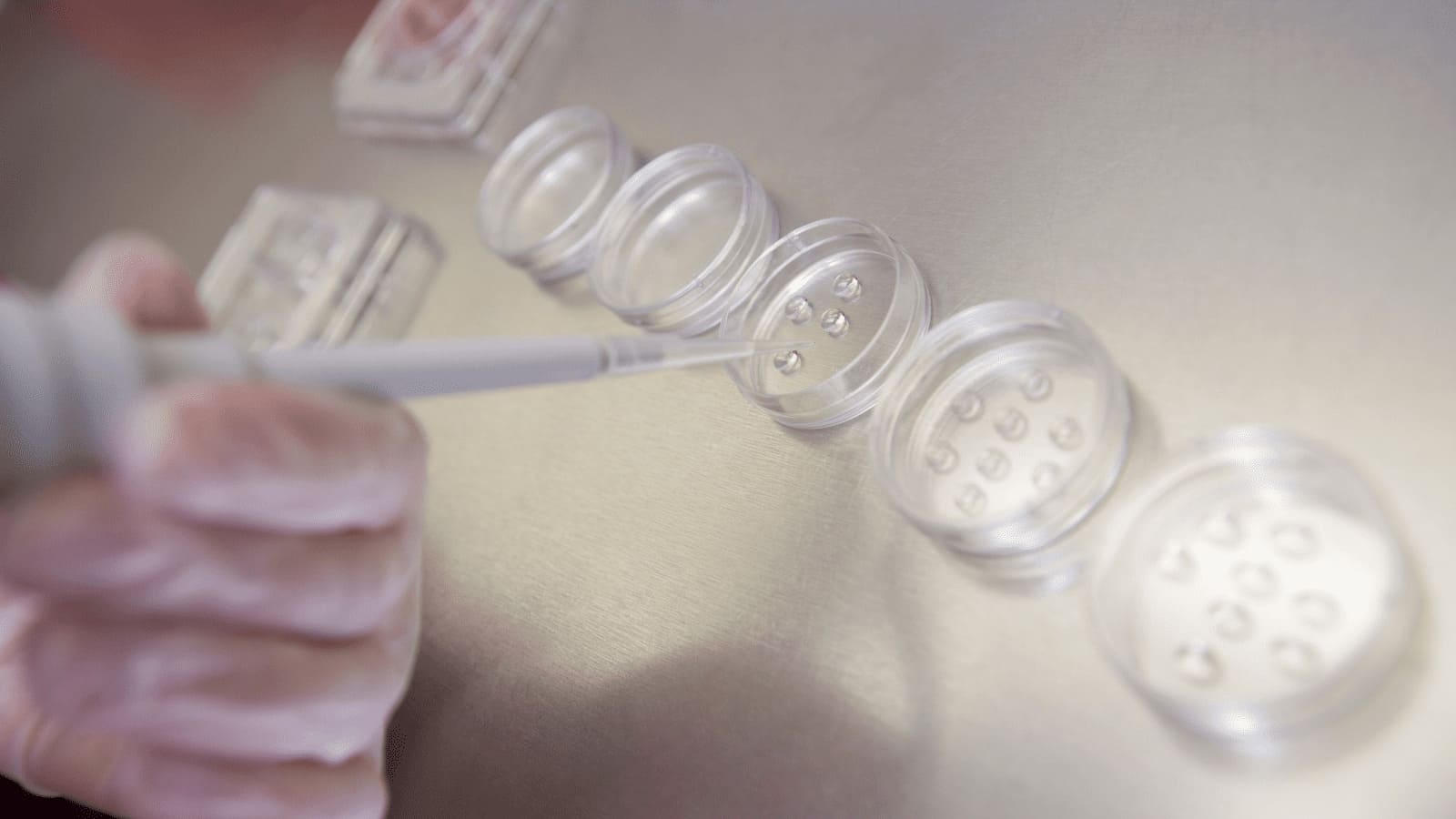 卵子凍結から妊娠までの流れ