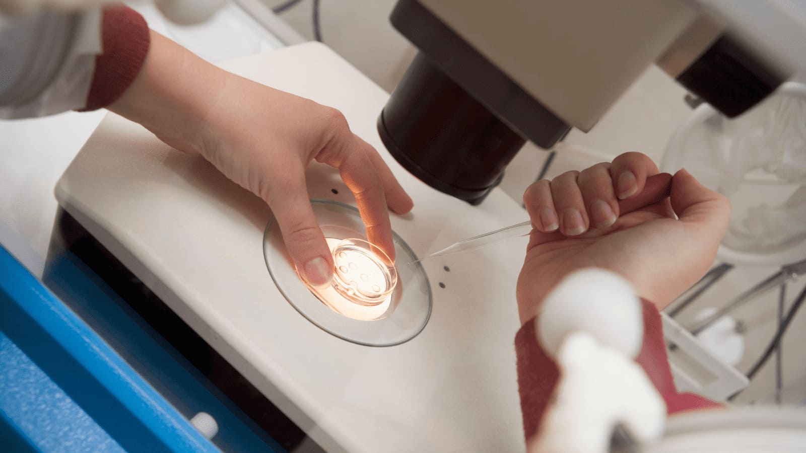 「卵子凍結」「受精卵凍結」対象者の違いは?